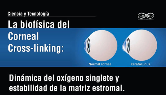 La biofísica del Corneal Cross-linking: Dinámica del oxígeno singlete y estabilidad de la matriz estromal
